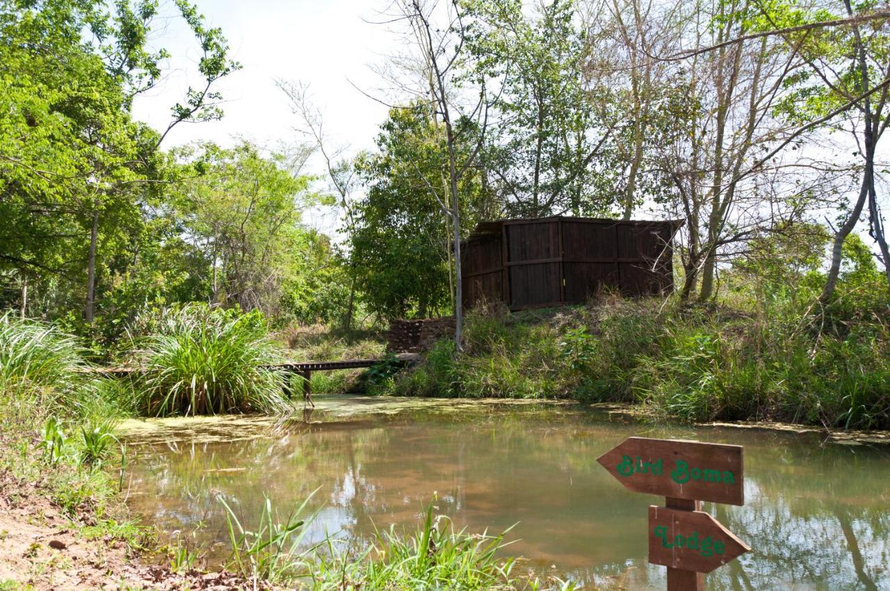 Greenfire Hazyview Lodge Ngoại thất bức ảnh